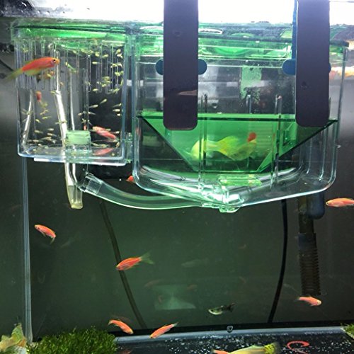 Tenlacum - Trampa para Acuario, diseño de Guppy