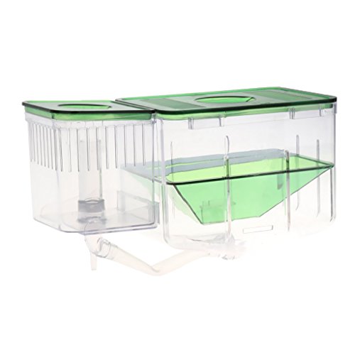 Tenlacum - Trampa para Acuario, diseño de Guppy