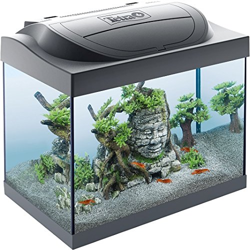 Tetra Starter Line LED Acuario Juego DE 30 l Crayfish