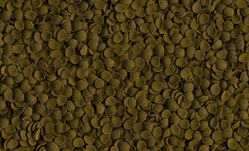 TETRA TetraPleco Wafers – Alimento completo para peces de fondo herbívoros – 250 ml.