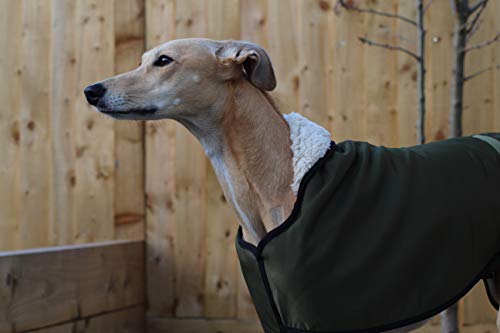 The Trendy Whippet Chubasquero Impermeable con Forro de Forro Polar, Color Verde Oliva, con Correa de Clip Ajustable a Juego, Galgo Italiano, mirlo
