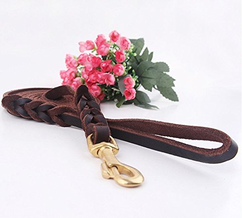 VIVI Oso Cuero Trenzado Correas para Perros para Grande/Mediano Perros Canine K9 Comportamiento formación Correa Cuerda 0,5 cm de Ancho por 8,5/6,9/5,2/4 ft Largo marrón Oscuro