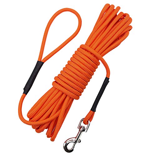 Vivifyin - Cuerda flotable para perro con asa para playa, lago, 10 m