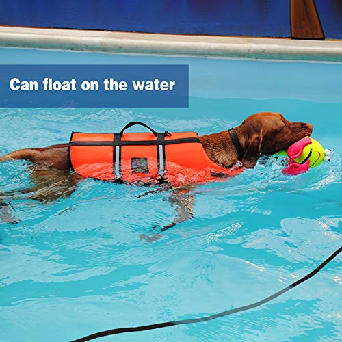 Vivifyin - Cuerda flotable para perro con asa para playa, lago, 10 m