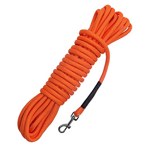 Vivifying Dog Check Cord, cuerda flotante, larga para entrenamiento de perros, para playa, lago, 32 pies