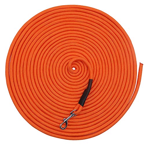 Vivifying Dog Check Cord, cuerda flotante, larga para entrenamiento de perros, para playa, lago, 32 pies