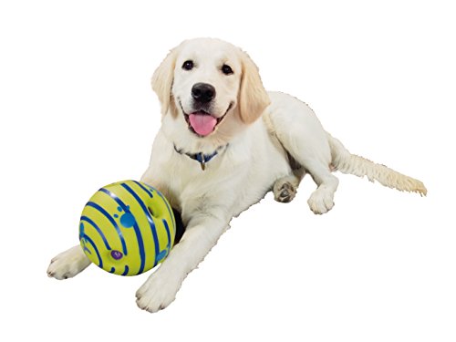 Wobble Wag GIGLE - Pelota Sonora para Perro, Vista en la televisión