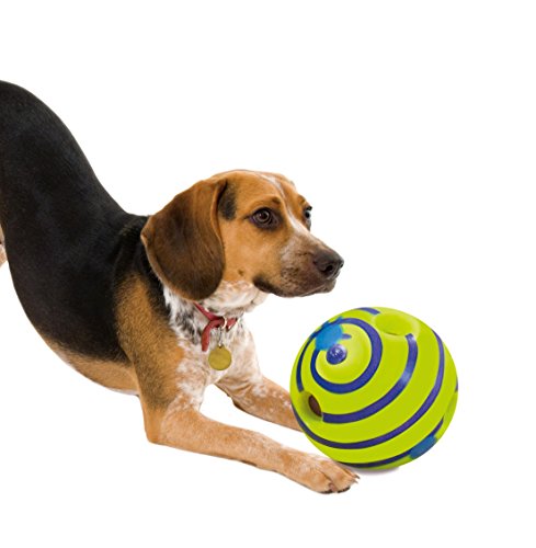 Wobble Wag GIGLE - Pelota Sonora para Perro, Vista en la televisión