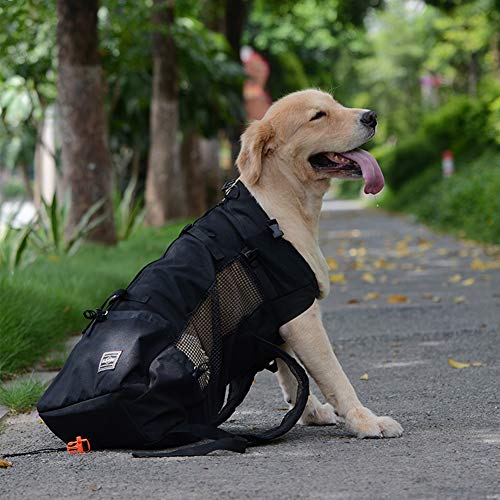 Woolala Mochila portadora de mascotas ligera para perros pequeños y medianos, bolsa segura aprobada por veterinarios para viajes – fácil de llevar ahorro de espacio