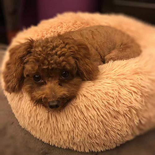 WYJW Cama de Felpa Grande Perros Cama cómoda para calmar Mascotas, cojín autocalentable para Perros, Alfombrilla Antideslizante para Mascotas Lavadero Redondo para Perros, Beige, 80 cm