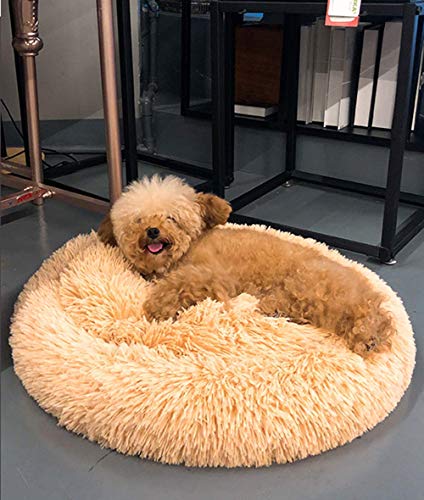 WYJW Cama de Felpa Grande Perros Cama cómoda para calmar Mascotas, cojín autocalentable para Perros, Alfombrilla Antideslizante para Mascotas Lavadero Redondo para Perros, Beige, 80 cm