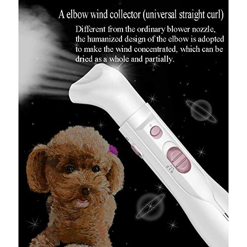 WYJW Cepillo secador de Pelo para Mascotas para Perros y Gatos, Secado por soplado, cardado, Peine de Aire Caliente AllInOne HighPower, con 4 boquillas de Aire, Rosa, Blanco, Blanco