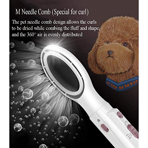 WYJW Cepillo secador de Pelo para Mascotas para Perros y Gatos, Secado por soplado, cardado, Peine de Aire Caliente AllInOne HighPower, con 4 boquillas de Aire, Rosa, Blanco, Blanco