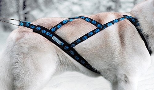 X de Back Tren Vajilla para de ciclismo, esquí Joring, dogscooting, trineo, diseño de huellas, color azul