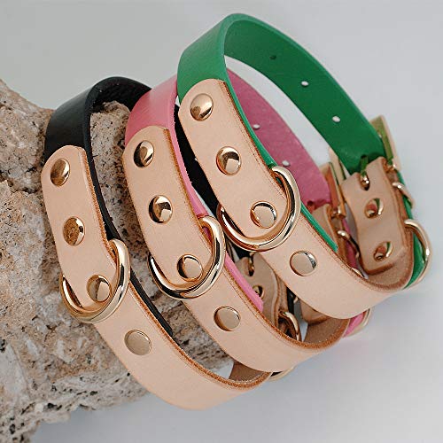 YXDZ Cute Collar De Cuero para Perro, Collares De Colores para Mascotas para Perros Pequeños Medianos, Gatos, Chihuahua, Pitbull, Collares De Cuero Genuino, Rojo, Verde, Negro