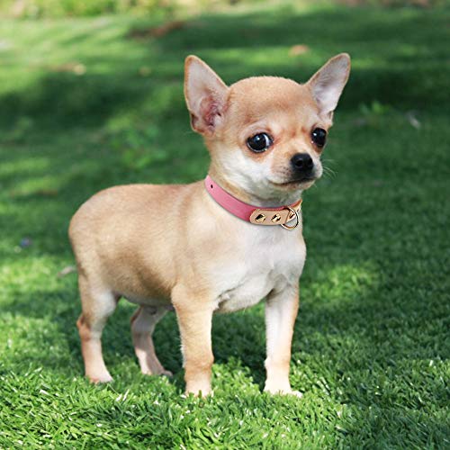 YXDZ Cute Collar De Cuero para Perro, Collares De Colores para Mascotas para Perros Pequeños Medianos, Gatos, Chihuahua, Pitbull, Collares De Cuero Genuino, Rojo, Verde, Negro