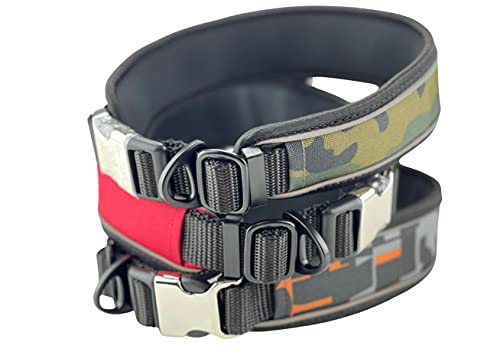 3540 - Collar impermeable para perros de neopreno, color verde con reflector verde, talla S, M, L, XL, XXL (M (13.7 - 17.7 pulgadas)