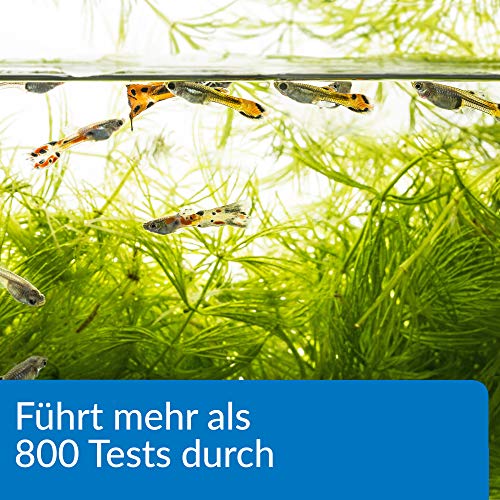 API DE-34 Freshwater Master Test Kit 800-Test Water Master - Kit de Prueba para acuarios de Agua Dulce, Talla única