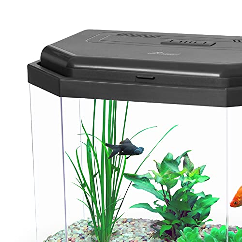 Aquatlantis New KidSafe Calypso 40 - Calcetín, Color Negro