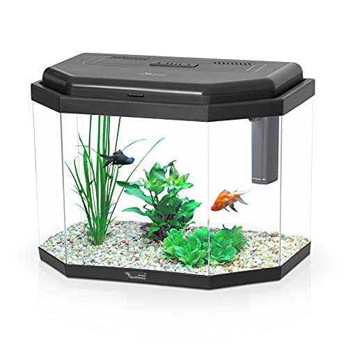 Aquatlantis New KidSafe Calypso 40 - Calcetín, Color Negro