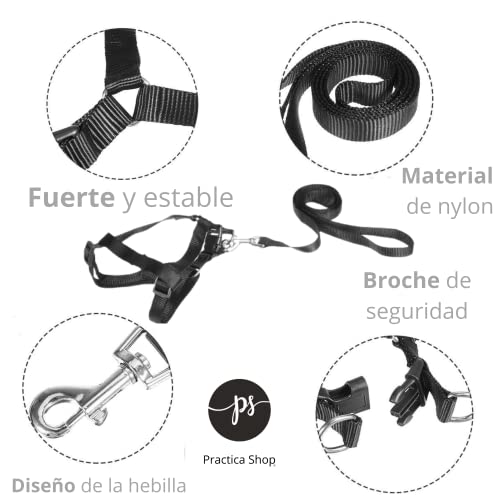 Arnes para Gatos Perros Pequeños y Cachorros Anti tirones, Cómodo, Ajustable y Transpirable con Correas más Manopla Cepillo de Limpieza Quitapelo Muerto y Suelto Mágico para Mascotas, Azul