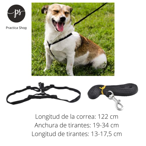 Arnes para Gatos Perros Pequeños y Cachorros Anti tirones, Cómodo, Ajustable y Transpirable con Correas más Manopla Cepillo de Limpieza Quitapelo Muerto y Suelto Mágico para Mascotas, Azul