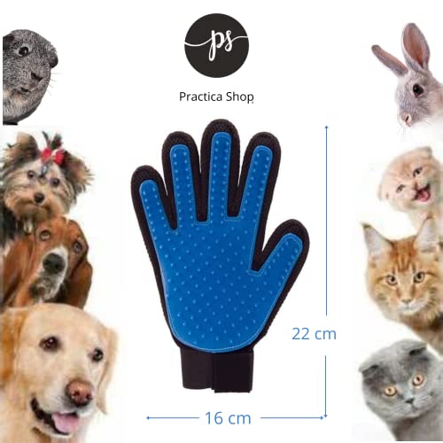 Arnes para Gatos Perros Pequeños y Cachorros Anti tirones, Cómodo, Ajustable y Transpirable con Correas más Manopla Cepillo de Limpieza Quitapelo Muerto y Suelto Mágico para Mascotas, Azul