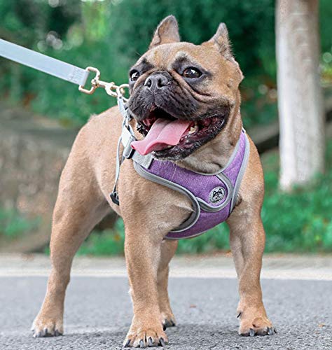 ArnéS para Perro,Morado, Reflectante,Transpirable,Ajustable,CóModo,Ajuste RáPido,Correa Gratis Incluida,para Perros PequeñOs y Medianos,L