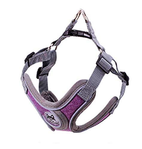 ArnéS para Perro,Morado, Reflectante,Transpirable,Ajustable,CóModo,Ajuste RáPido,Correa Gratis Incluida,para Perros PequeñOs y Medianos,L