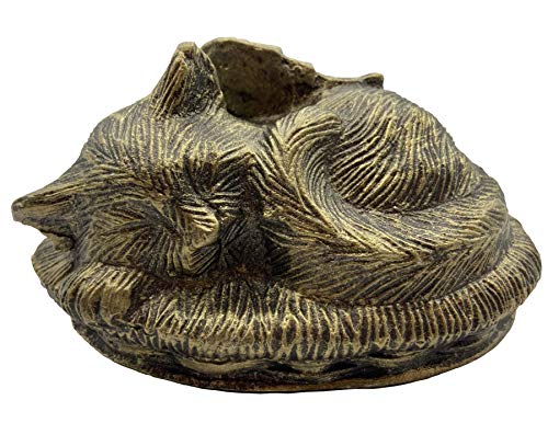 Au Paradis Des Chats , Angel De Urna Funeraria Para Perro Y Gato, Urna Para Cenizas De Cremación, Memorial Para Animales, Recuerdo De Su Mascota. Ventajas