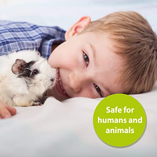 Bactador Desodorante En Spray para Gatos 500ml - Limpiador Enzimático Microbiológico - Neutralizador De Olores para La Arena del Gato -contra La Orina De Gato Y Los Olores De Animales