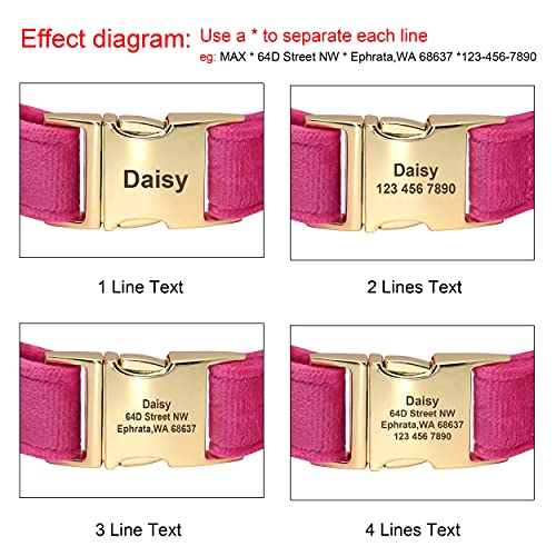 Beirui Collar de Terciopelo Suave para Perro con Accesorios de Flores extraíbles,Collar de Perro Personalizado con Placa de Nombre–Collar Adorable para Perros pequeños medianos Grandes(Rosa Fuerte,S)