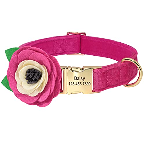 Beirui Collar de Terciopelo Suave para Perro con Accesorios de Flores extraíbles,Collar de Perro Personalizado con Placa de Nombre–Collar Adorable para Perros pequeños medianos Grandes(Rosa Fuerte,S)