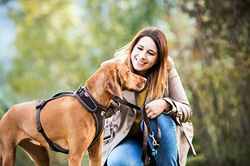 Belka Harness Black M