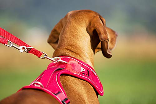 Belka Harness Black M