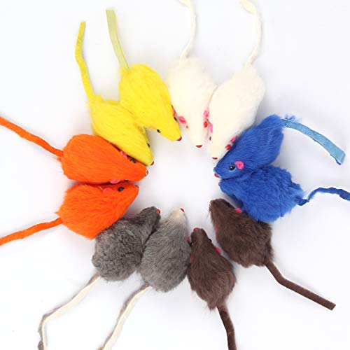 Bluelves Juguetes para Gato, 12 Piezas Gato Juguete Interactivo, Raton Juguete Gato, Catnip Juguetes con Campanas Catnip para Gatos, Peluche Ratones Multicolor