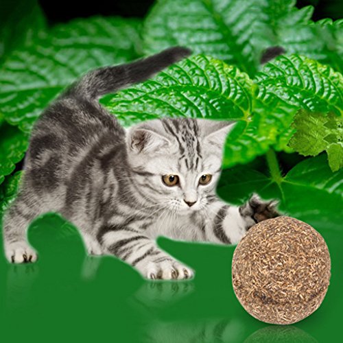 Boji Bolas de menta para gatos (1 unidade), nuestras bolas de menta están hechas 100% de Catnip natural | Empleo y juego para gatos y gatos