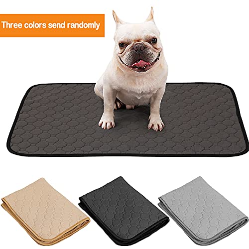 BPS 2X Empapador Entrenamiento para Perro Alfombras de Adiestramiento Caninas Lavable Almohadilla para Mascota Reutilizable Absorbente Antideslizante Color al Azar (S) BPS-5749 * 2