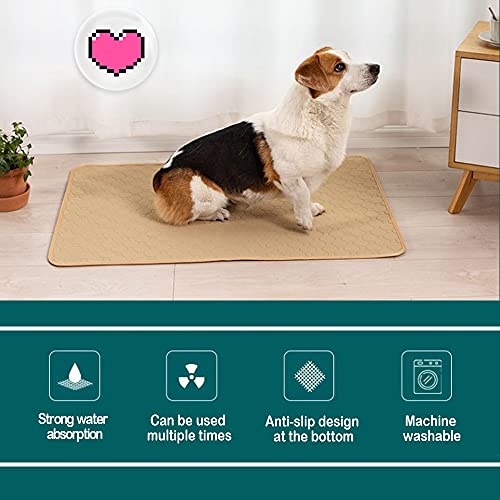 BPS 2X Empapador Entrenamiento para Perro Alfombras de Adiestramiento Caninas Lavable Almohadilla para Mascota Reutilizable Absorbente Antideslizante Color al Azar (S) BPS-5749 * 2