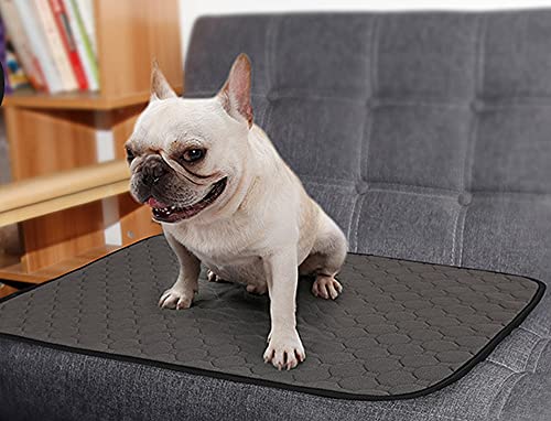 BPS 2X Empapador Entrenamiento para Perro Alfombras de Adiestramiento Caninas Lavable Almohadilla para Mascota Reutilizable Absorbente Antideslizante Color al Azar (S) BPS-5749 * 2