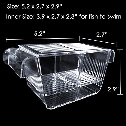 Capetsma Caja de cría de Peces, Caja de Aislamiento de Peces de acrílico con ventosas, incubadora de Hatchery para Acuario para Peces de bebé camarones y Peces Guppy Tamaño pequeño