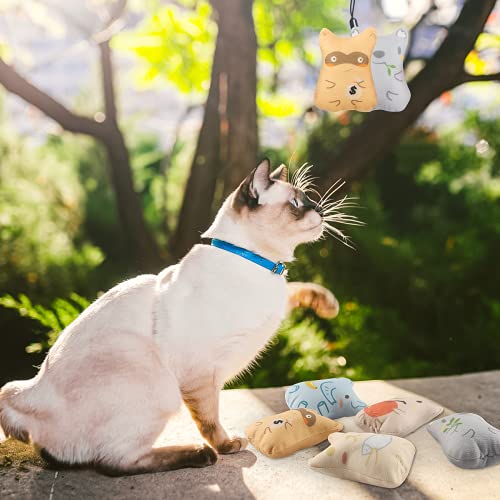 Catnip Mascota de Juguete, 5 Piezas Hierba Gatera Juguete, Juguete Felpa Catnip, Juguete Interactivo Masticable Anti-Mordida para Gatos, 5 Lindos Estilos Diferentes Adecuados para Todos los Gatos (A)