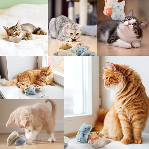 Catnip Mascota de Juguete, 5 Piezas Hierba Gatera Juguete, Juguete Felpa Catnip, Juguete Interactivo Masticable Anti-Mordida para Gatos, 5 Lindos Estilos Diferentes Adecuados para Todos los Gatos (A)