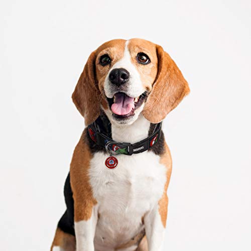 CERDÁ LIFE'S LITTLE MOMENTS Collar Perro Grande de Marvel® - Licencia Oficial Disney Marvel®