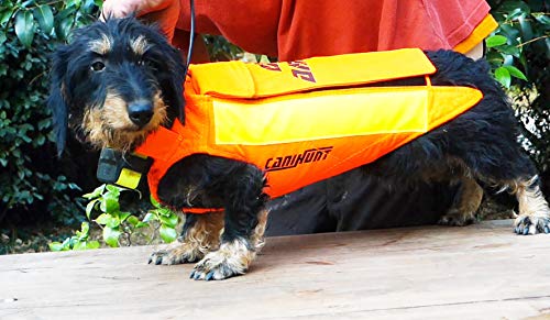 Chaleco de protección para perro canihunt Dog Armor V2