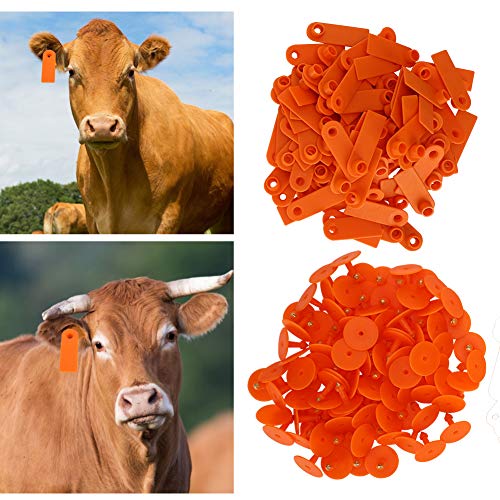 Cikonielf 100 Uds Etiqueta de Oreja de identificación de Ganado Etiquetas de Oreja de plástico Etiqueta de Oreja de Ganado para Cabras, ovejas, Ganado, Vacas, Cerdos(Naranja)