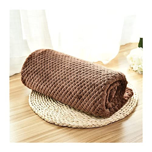 Colchones para perros y gatos, colchonetas para dormir, cálidas y finas, fundas suaves para mascotas, para perros, gatos, colchas, cama para mascotas (color: marrón, tamaño: L 100 x 80 cm)