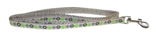 Collar y Correa para Cachorro Little Rascals.