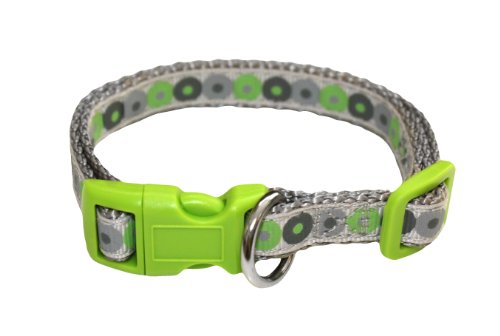 Collar y Correa para Cachorro Little Rascals.