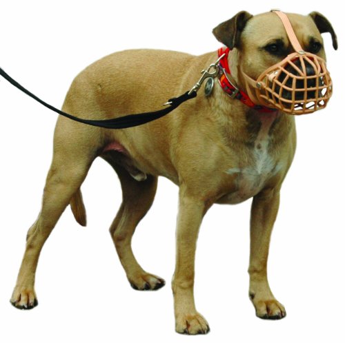 Company of Animals Baskerville - Bozal para perro, tamaño 12, apto para Pit Bull, Staff Bull Terrier